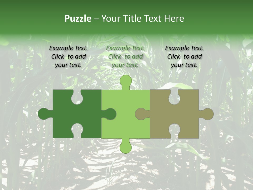 Inside A Corn Field PowerPoint Template
