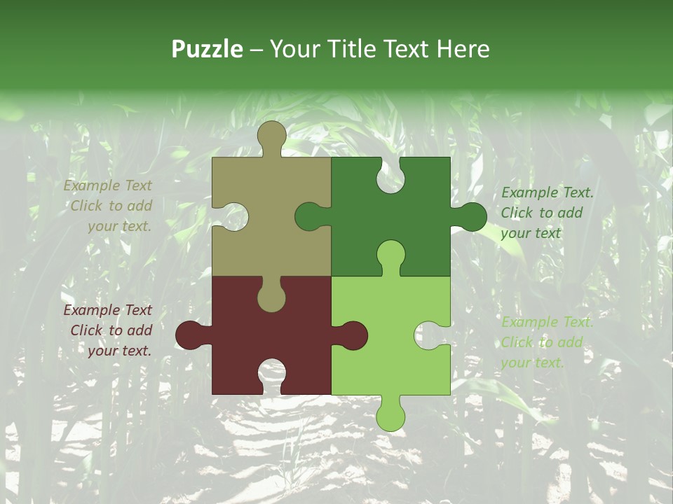 Inside A Corn Field PowerPoint Template