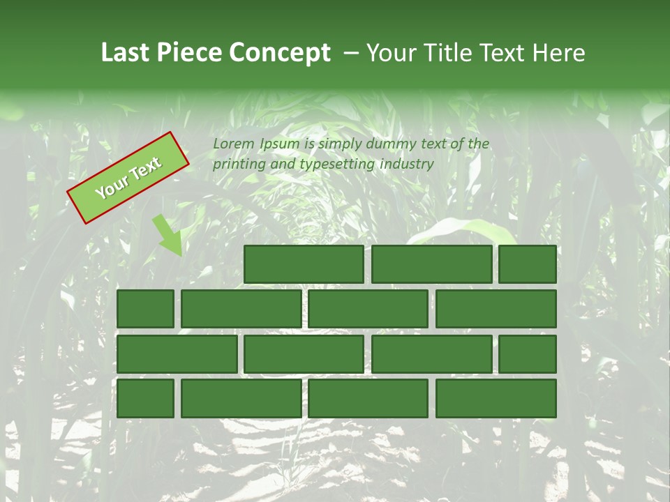 Inside A Corn Field PowerPoint Template