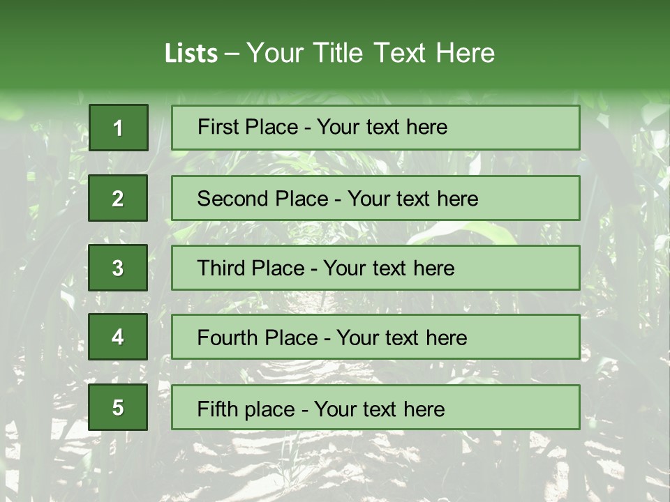 Inside A Corn Field PowerPoint Template