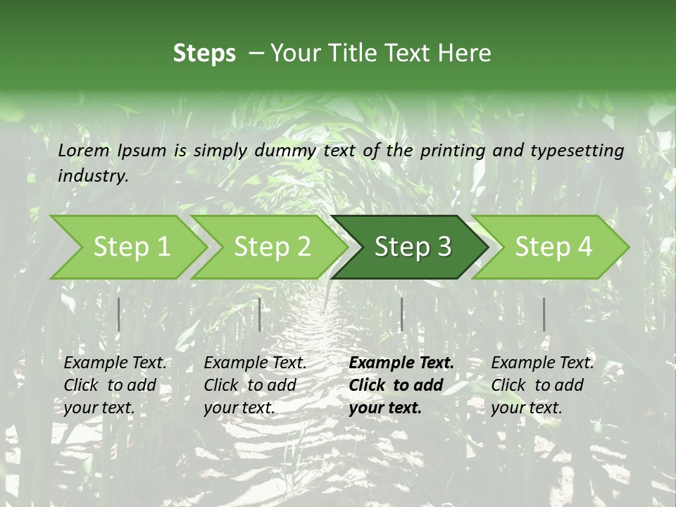Inside A Corn Field PowerPoint Template