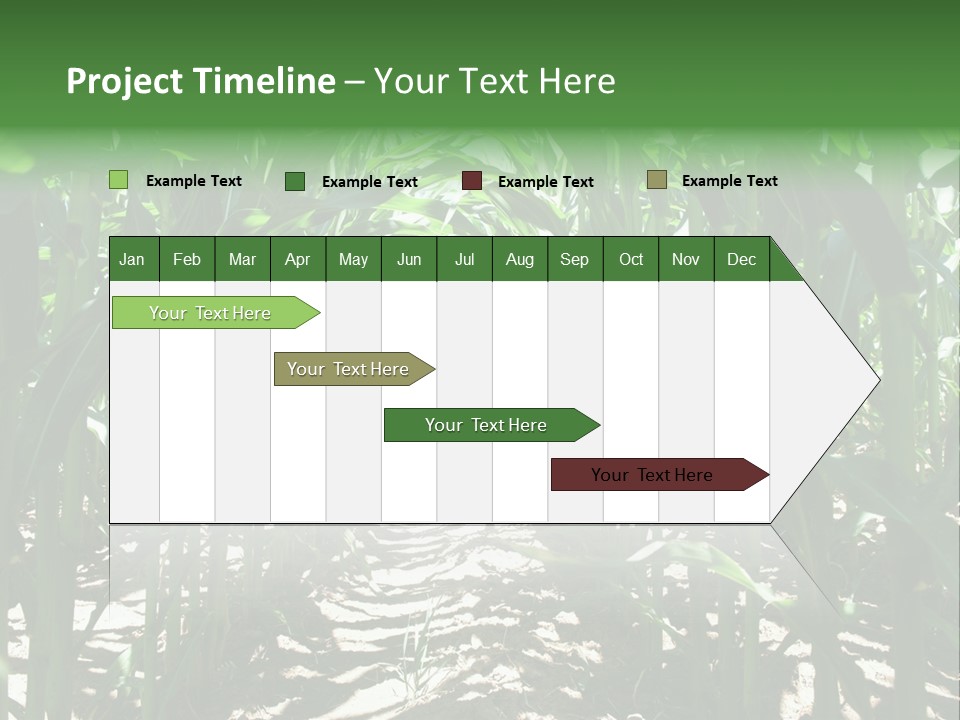 Inside A Corn Field PowerPoint Template