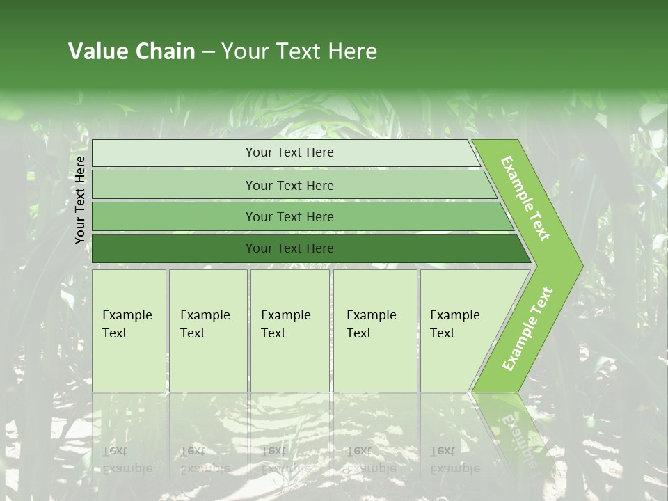 Inside A Corn Field PowerPoint Template