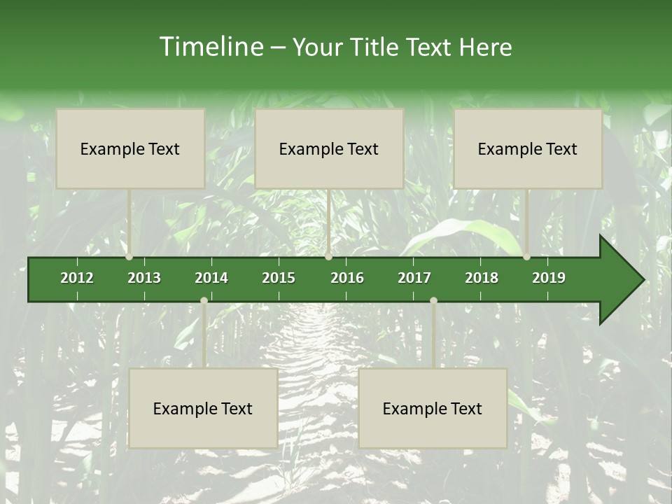 Inside A Corn Field PowerPoint Template