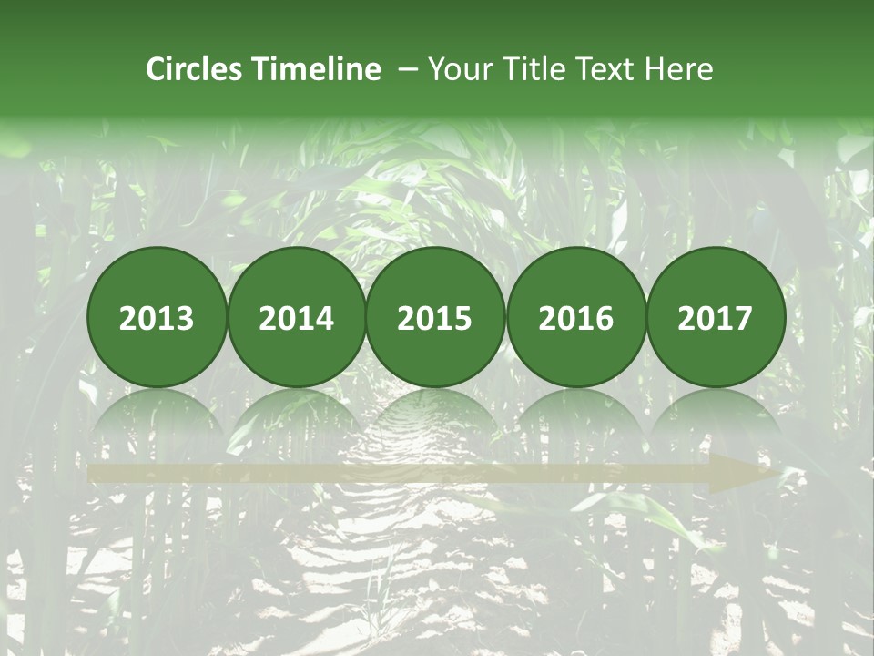 Inside A Corn Field PowerPoint Template