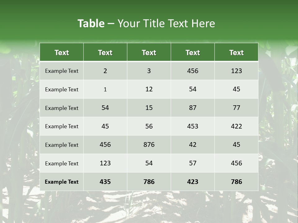 Inside A Corn Field PowerPoint Template