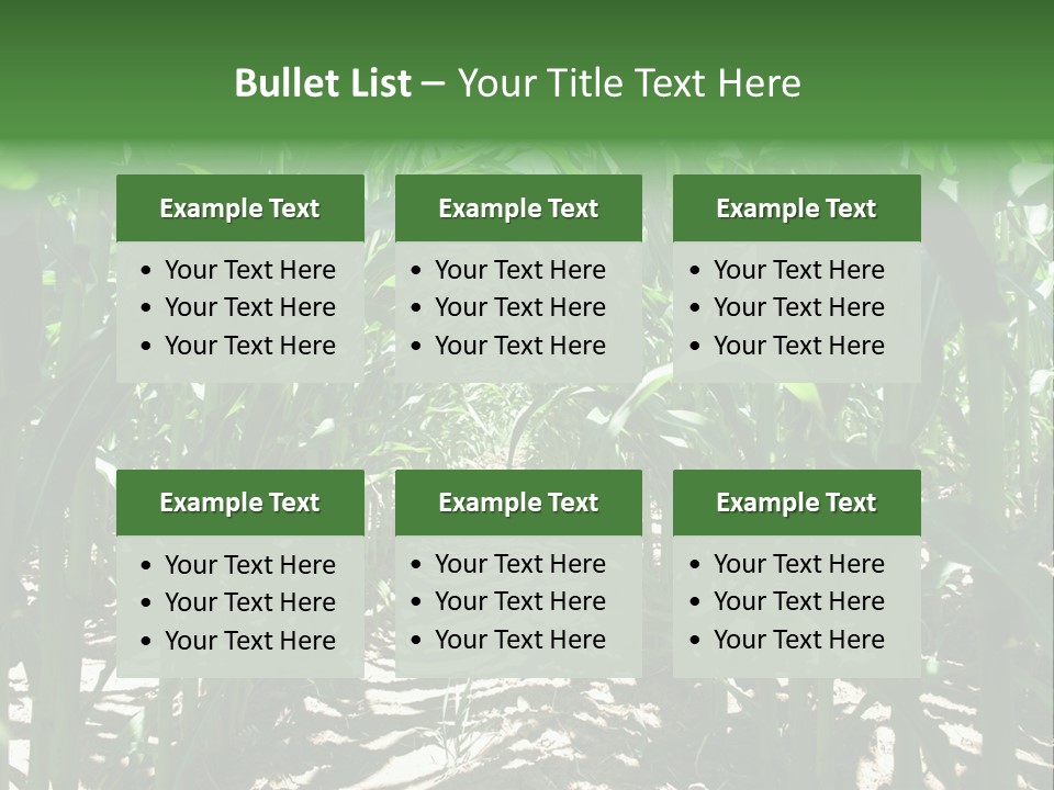 Inside A Corn Field PowerPoint Template