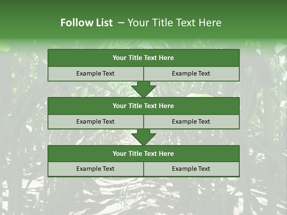 Inside A Corn Field PowerPoint Template