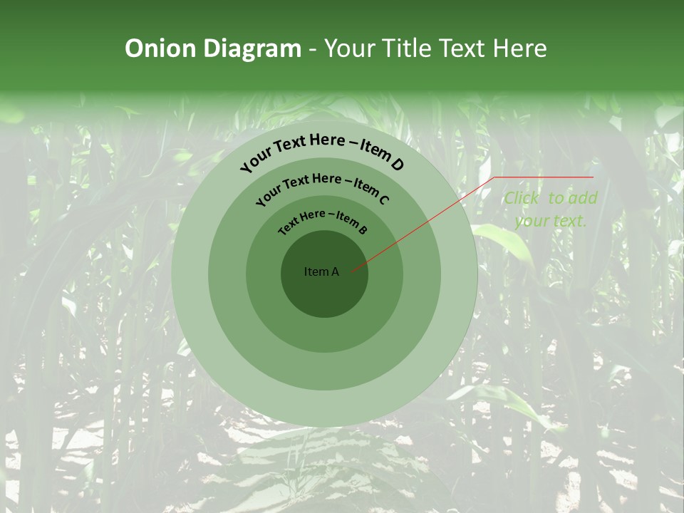 Inside A Corn Field PowerPoint Template