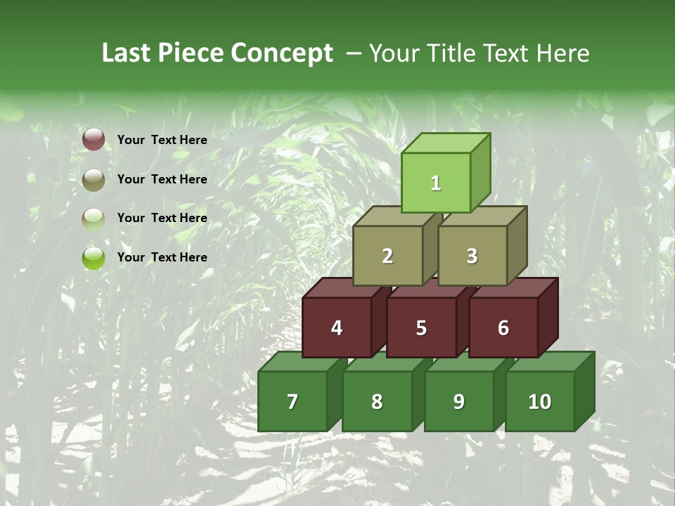 Inside A Corn Field PowerPoint Template