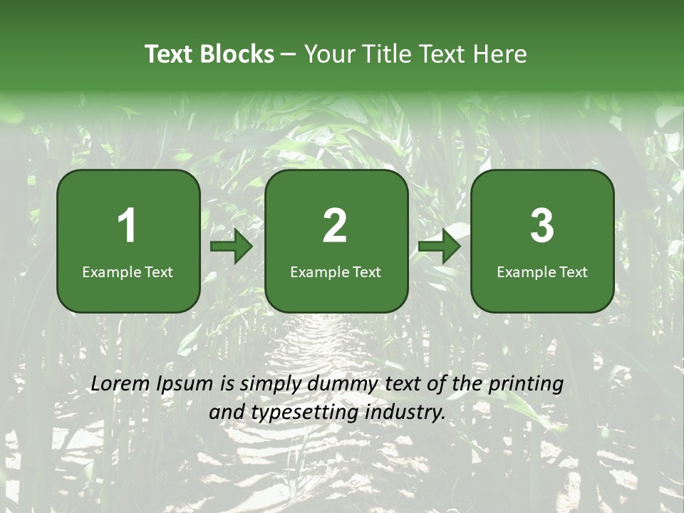 Inside A Corn Field PowerPoint Template