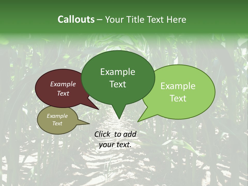 Inside A Corn Field PowerPoint Template