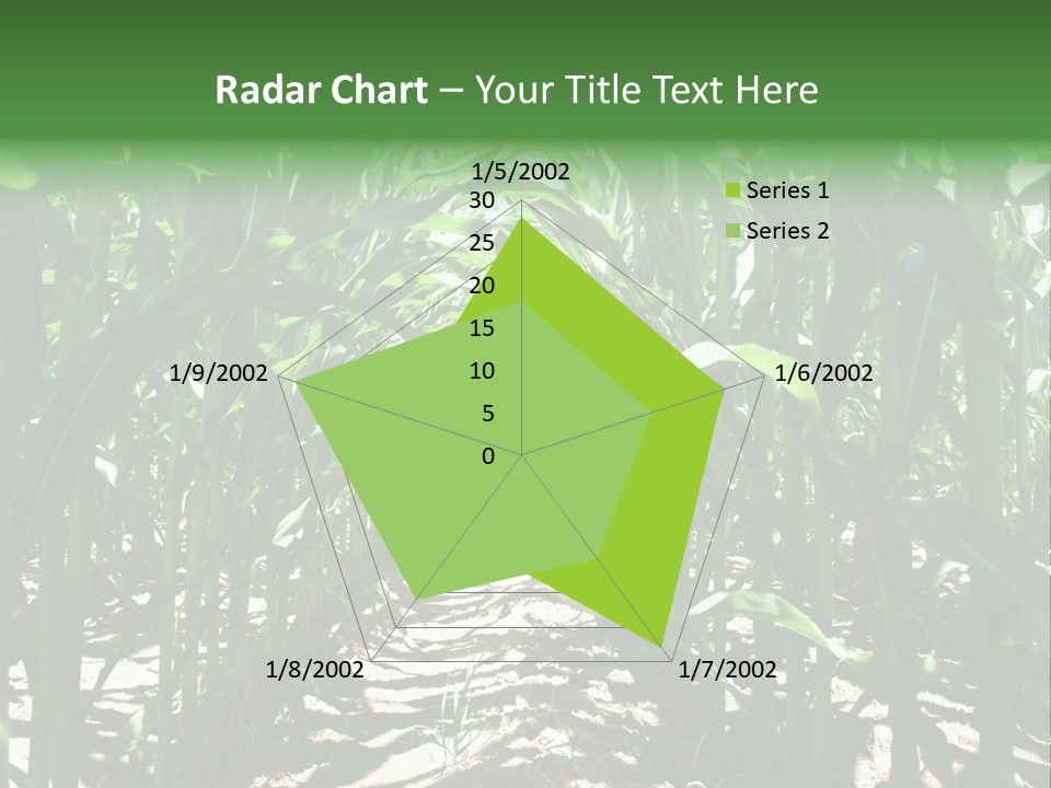 Inside A Corn Field PowerPoint Template