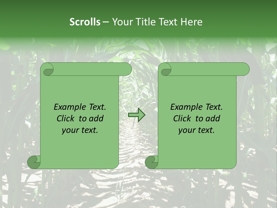 Inside A Corn Field PowerPoint Template