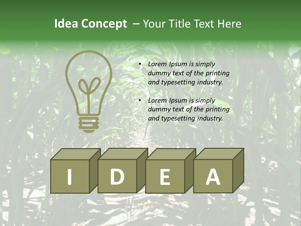 Inside A Corn Field PowerPoint Template
