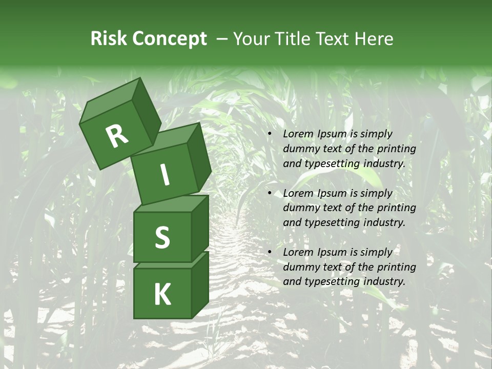 Inside A Corn Field PowerPoint Template