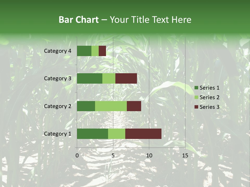 Inside A Corn Field PowerPoint Template