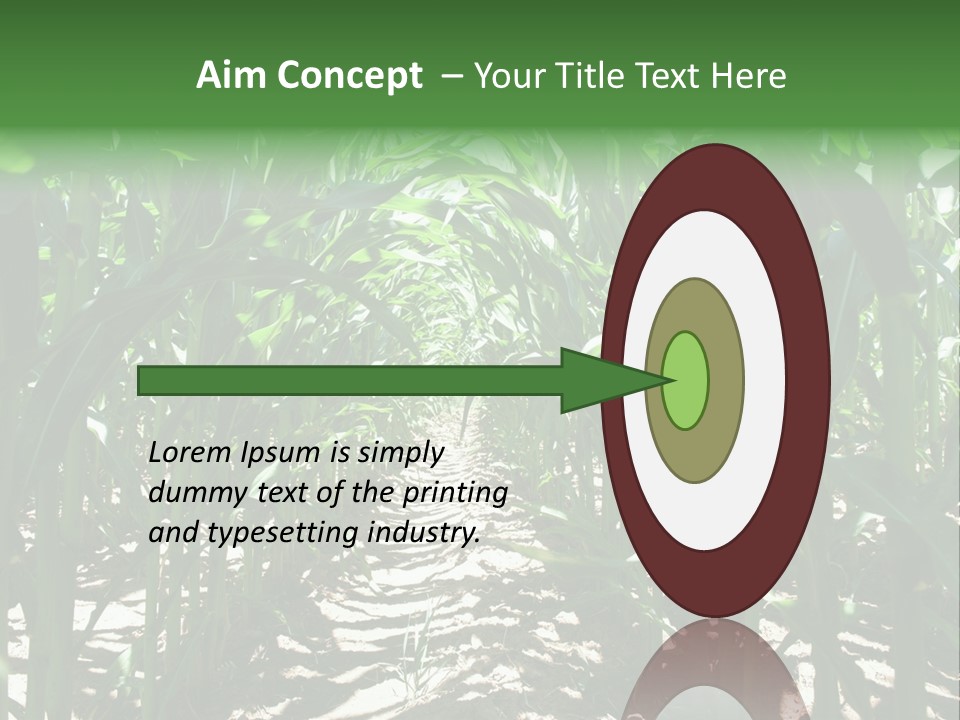 Inside A Corn Field PowerPoint Template
