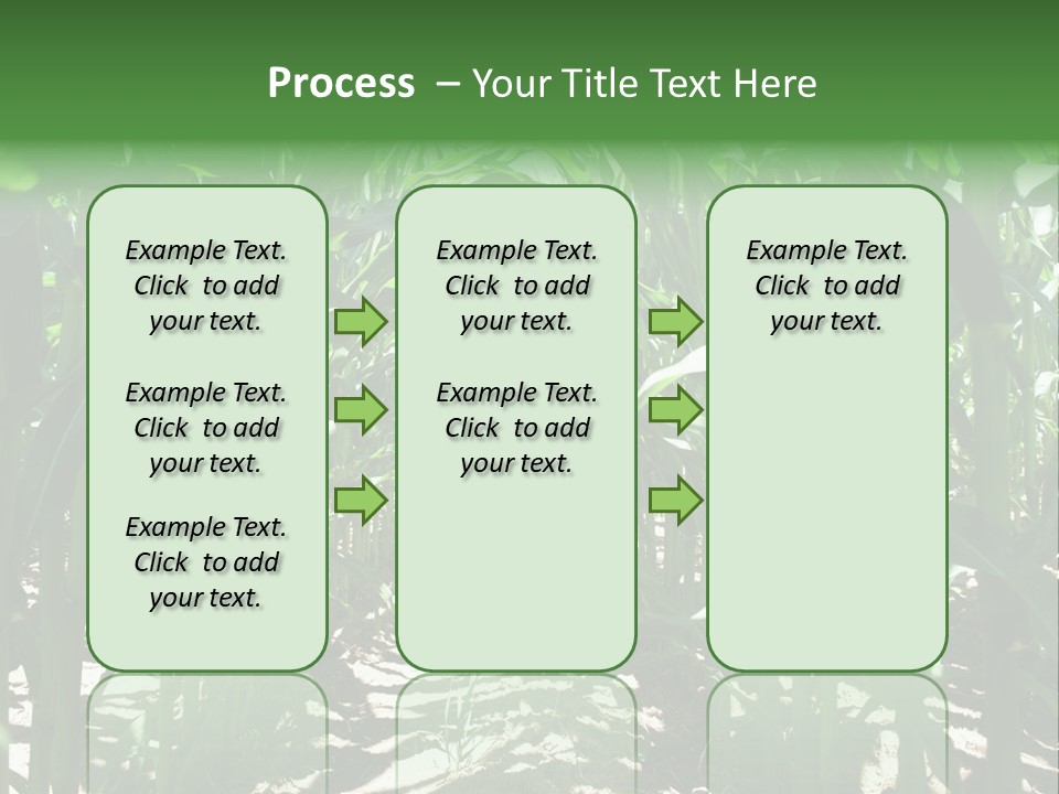 Inside A Corn Field PowerPoint Template