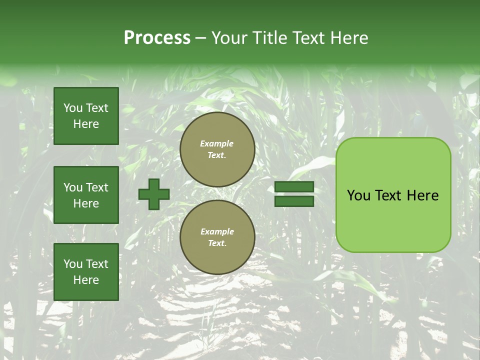 Inside A Corn Field PowerPoint Template