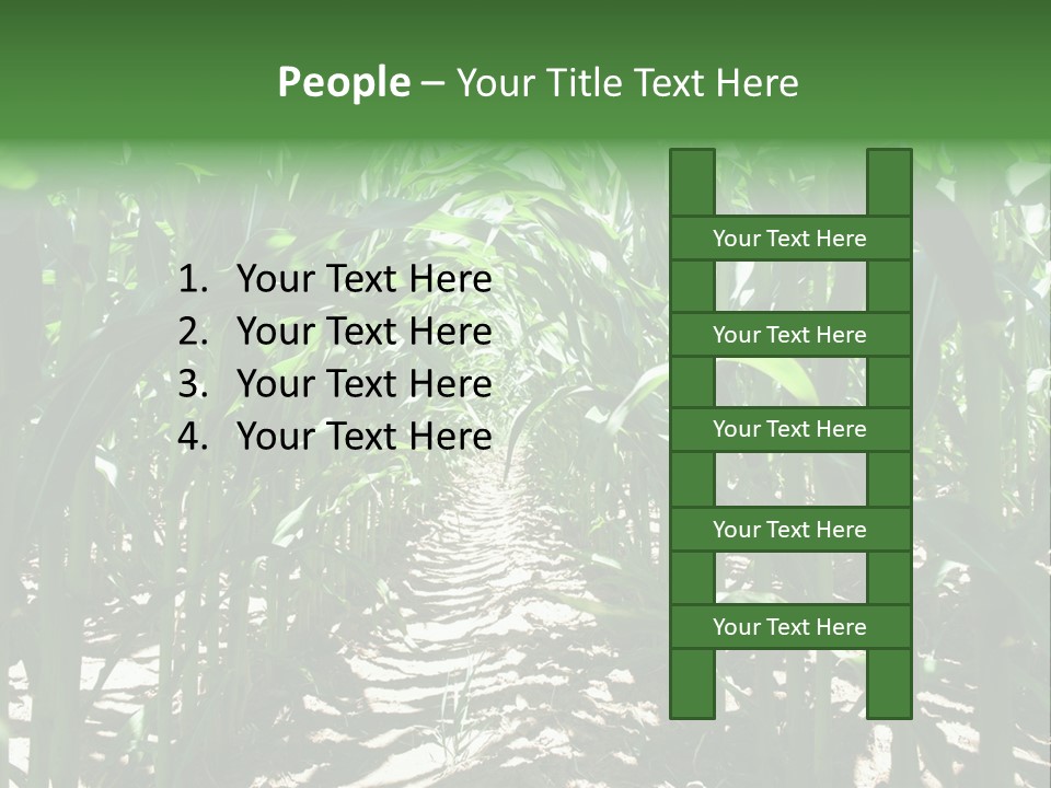 Inside A Corn Field PowerPoint Template