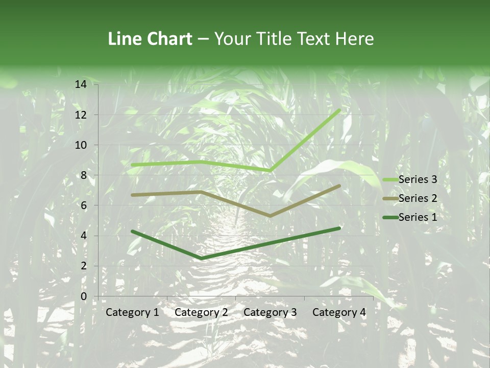 Inside A Corn Field PowerPoint Template