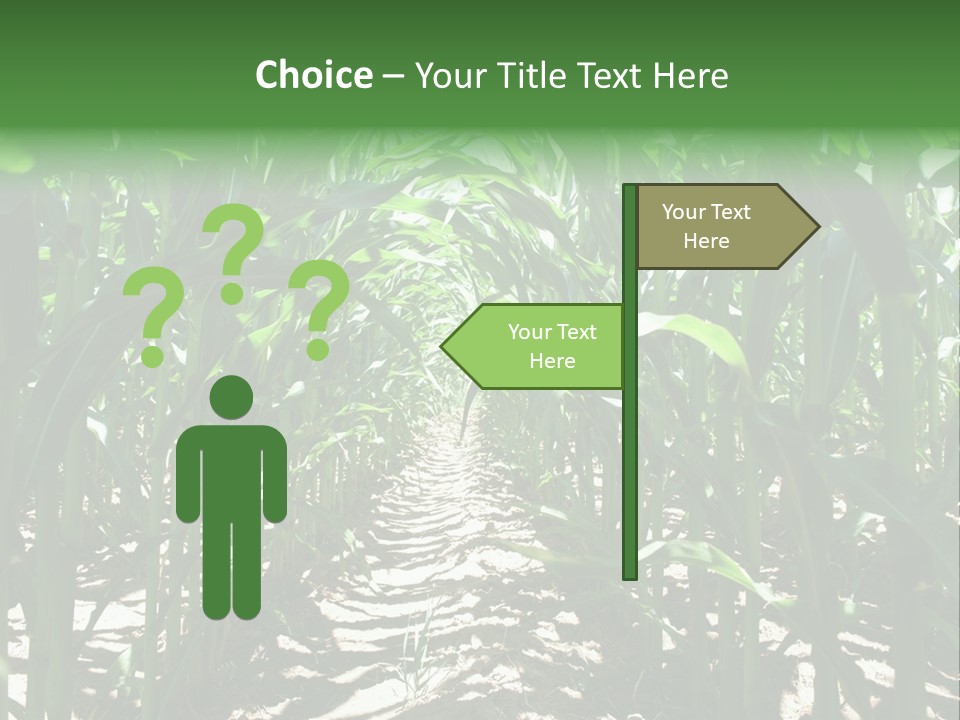 Inside A Corn Field PowerPoint Template