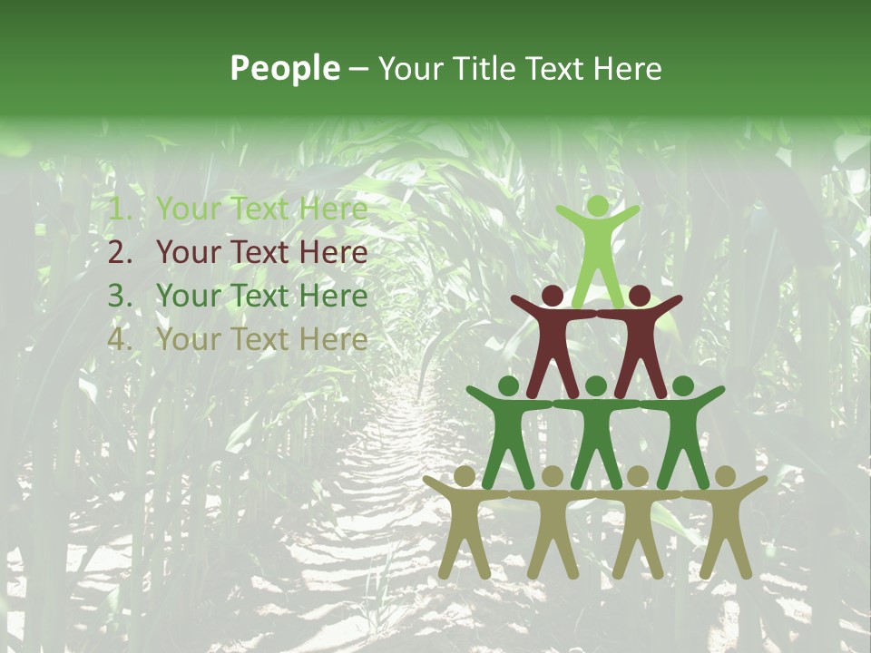 Inside A Corn Field PowerPoint Template