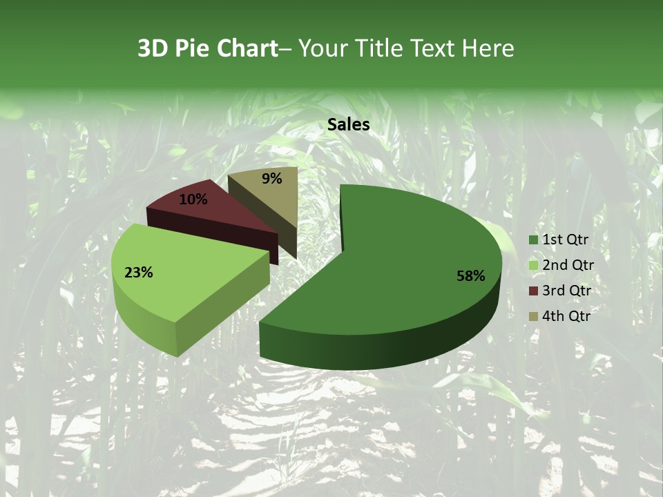 Inside A Corn Field PowerPoint Template