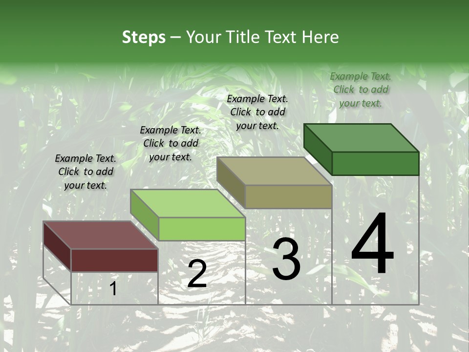 Inside A Corn Field PowerPoint Template