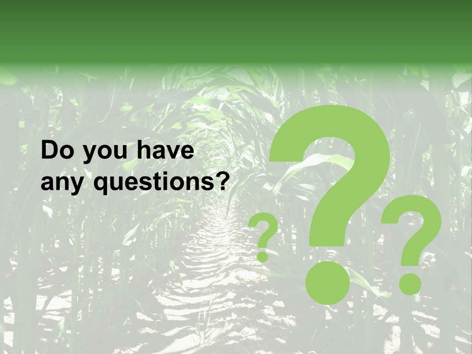 Inside A Corn Field PowerPoint Template
