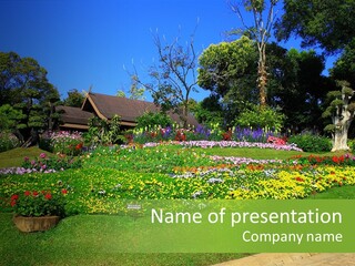 Summer Flowers PowerPoint Template