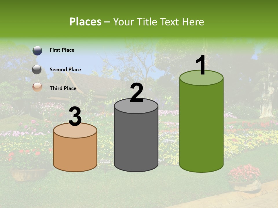 Summer Flowers PowerPoint Template