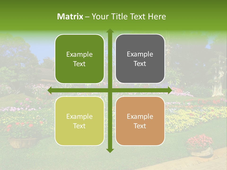 Summer Flowers PowerPoint Template