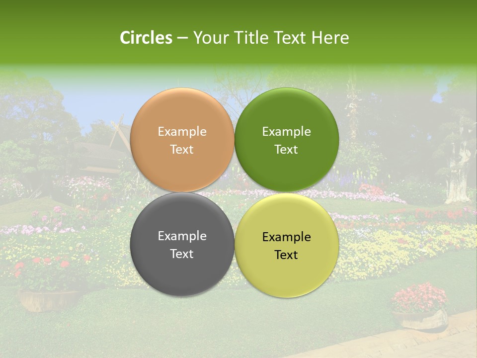 Summer Flowers PowerPoint Template