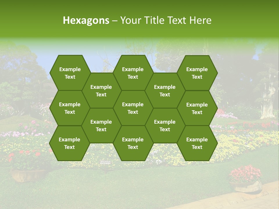 Summer Flowers PowerPoint Template