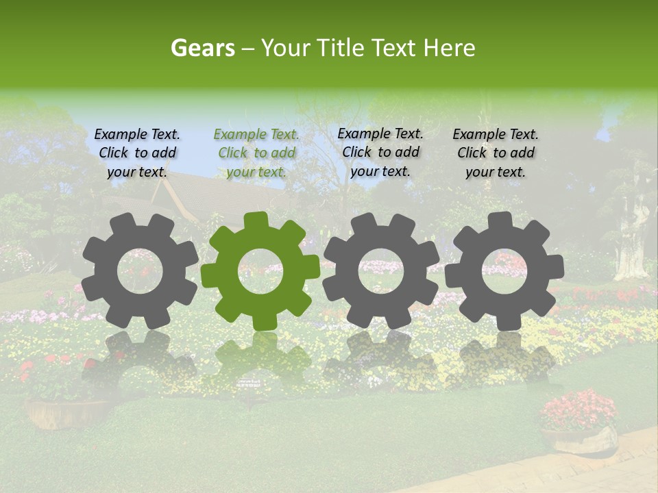 Summer Flowers PowerPoint Template