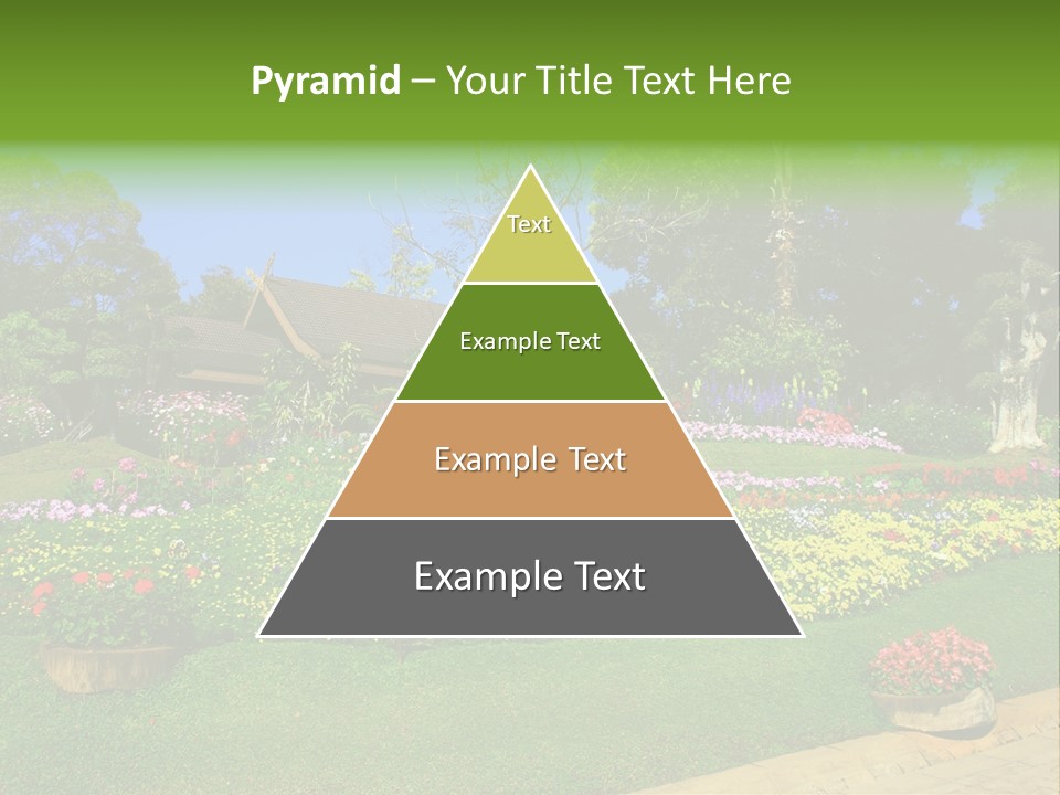 Summer Flowers PowerPoint Template