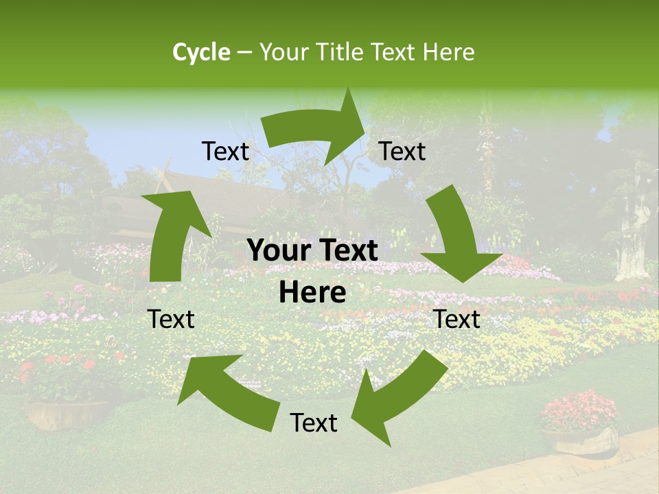 Summer Flowers PowerPoint Template