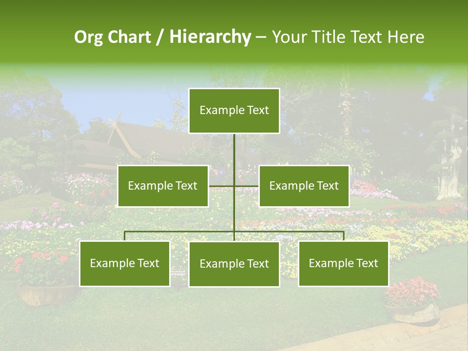 Summer Flowers PowerPoint Template