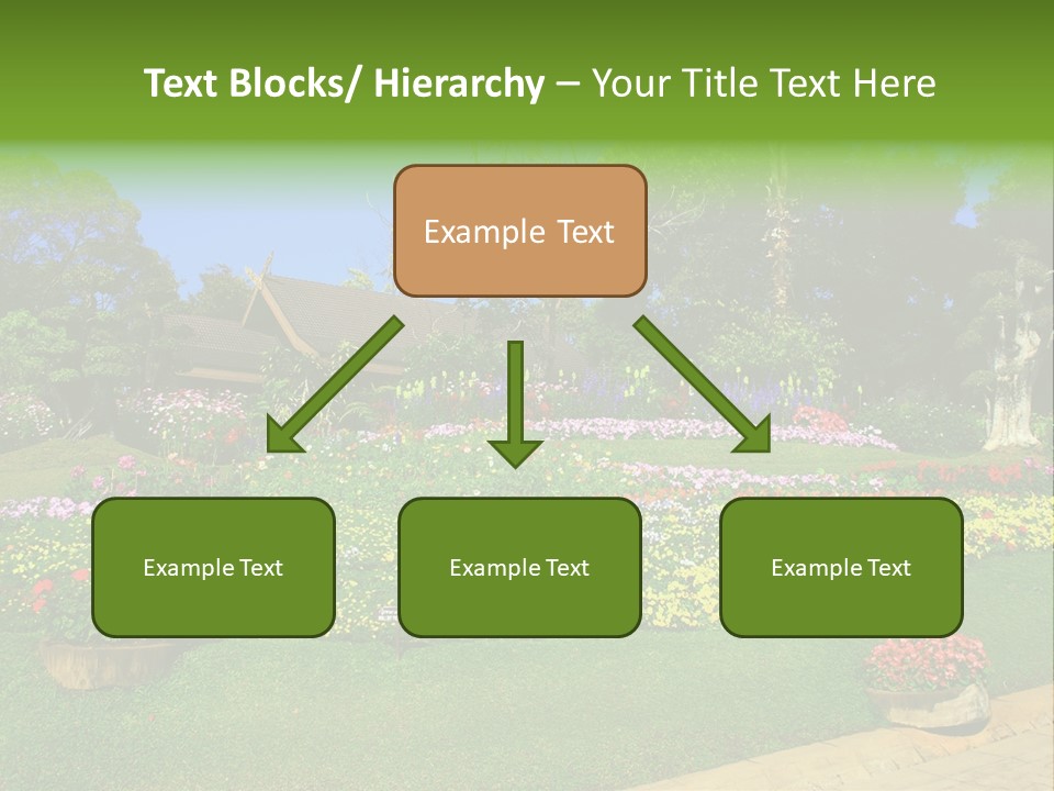 Summer Flowers PowerPoint Template