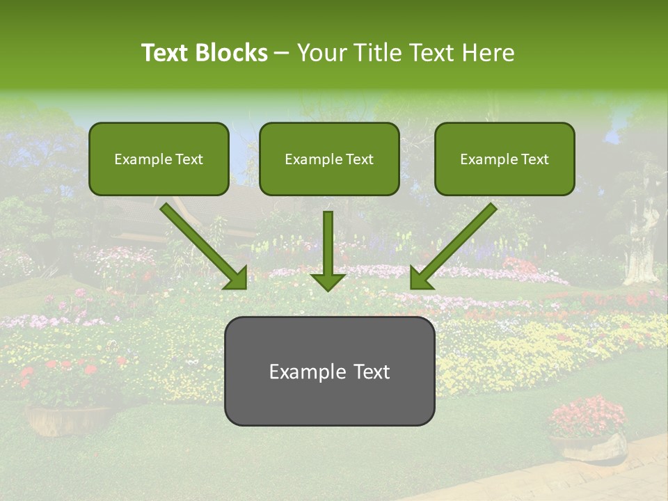 Summer Flowers PowerPoint Template