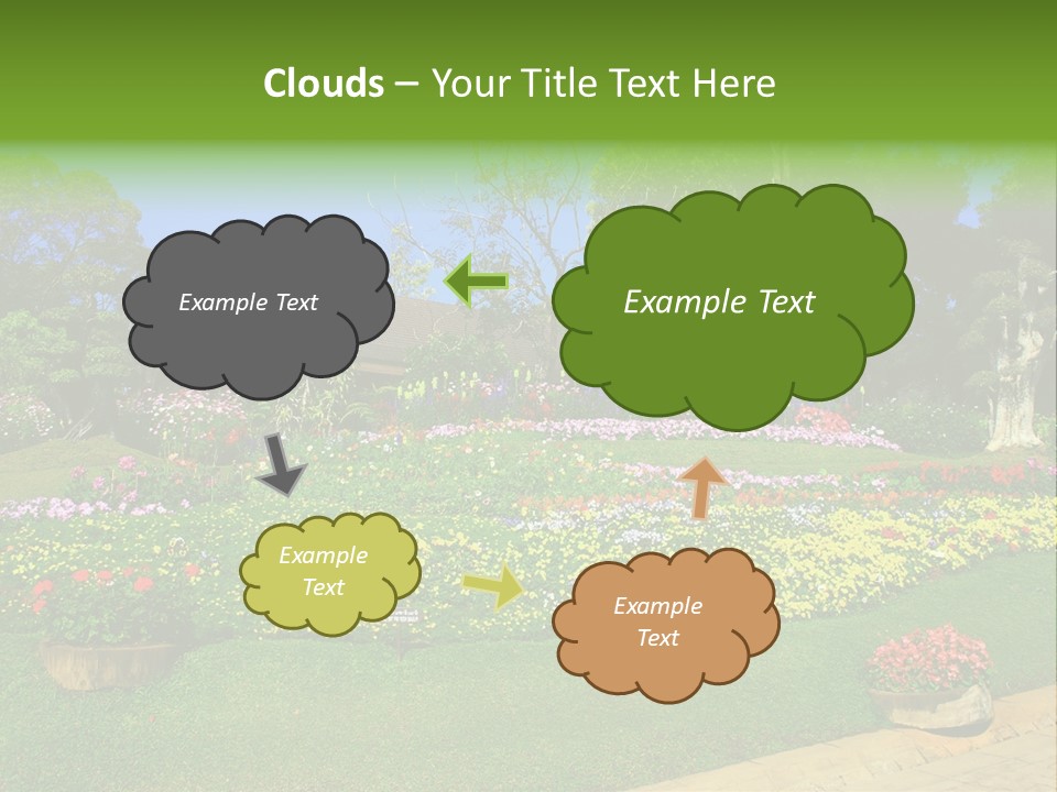 Summer Flowers PowerPoint Template