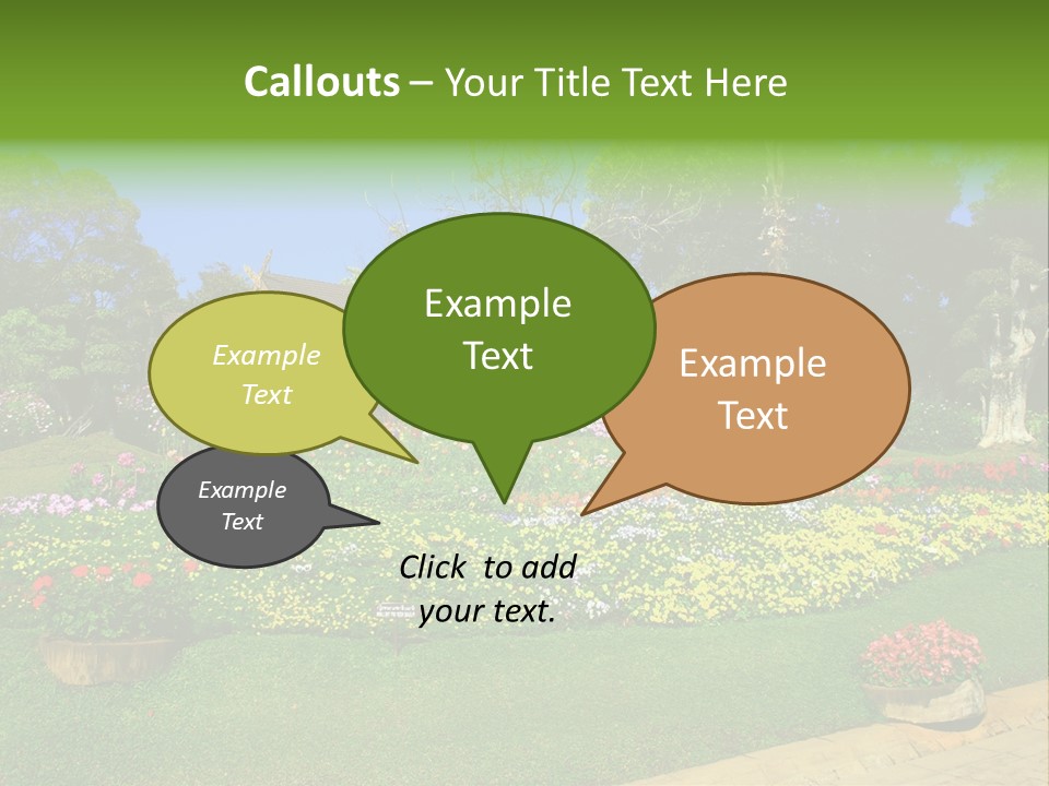 Summer Flowers PowerPoint Template