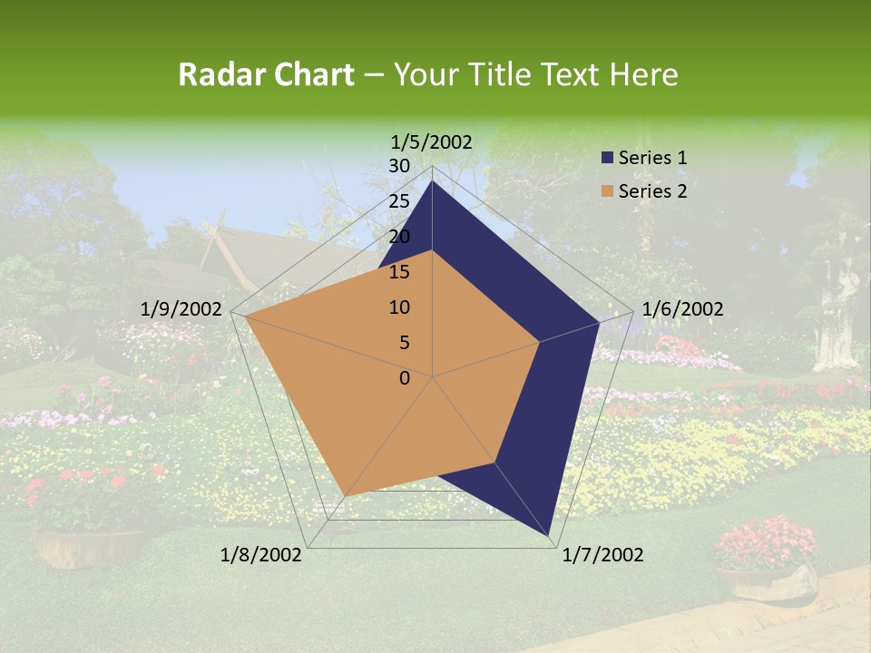 Summer Flowers PowerPoint Template