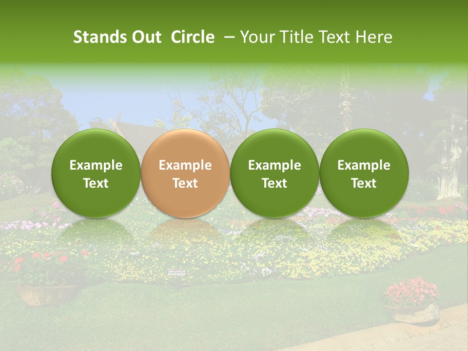 Summer Flowers PowerPoint Template