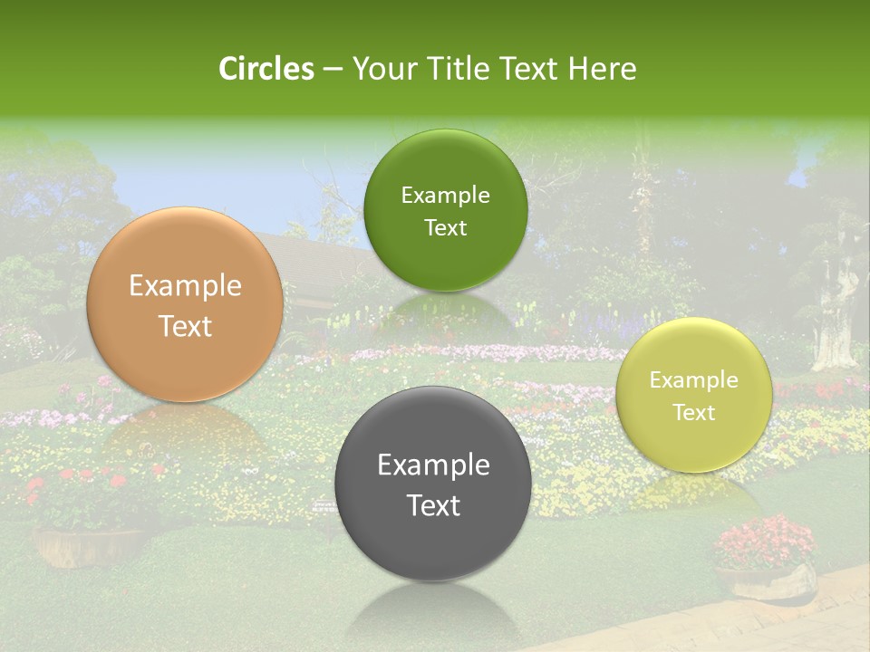 Summer Flowers PowerPoint Template