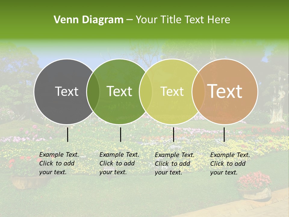 Summer Flowers PowerPoint Template