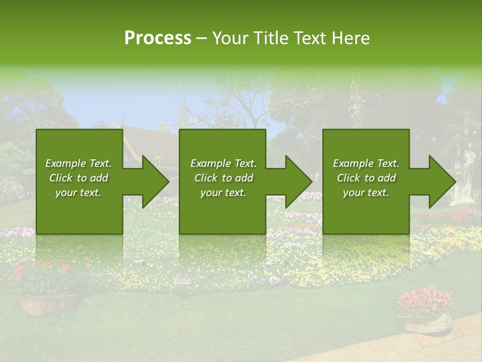 Summer Flowers PowerPoint Template