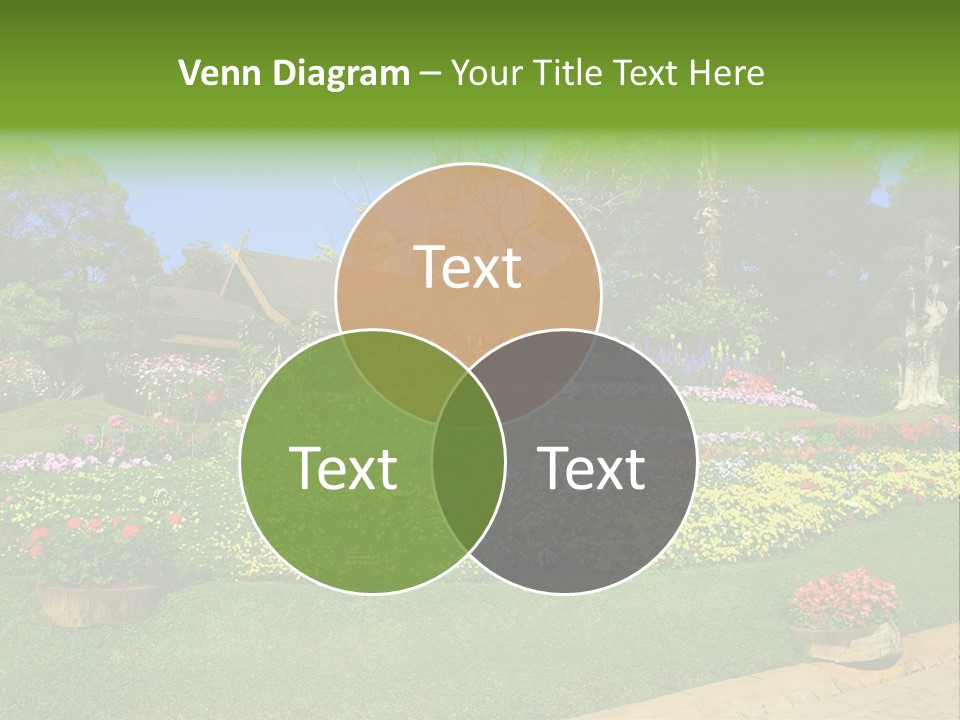 Summer Flowers PowerPoint Template